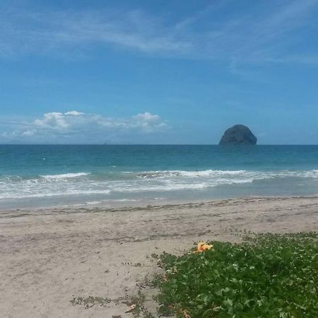 Charmant Et Spacieux Studio A 50M De La Plage لو ديامانت المظهر الخارجي الصورة